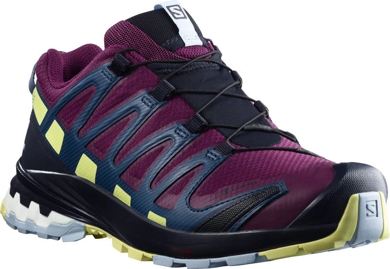 Dámská běžecká obuv Salomon XA Pro 3D V8 GTX W Plum Caspia