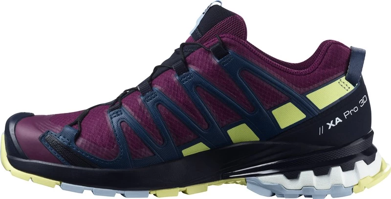 Dámská běžecká obuv Salomon XA Pro 3D V8 GTX W Plum Caspia