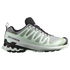 Dámská běžecká obuv Salomon Xa Pro 3D V9 Gore-Tex Quiet Shade/Lily Pad/Blue Haze
