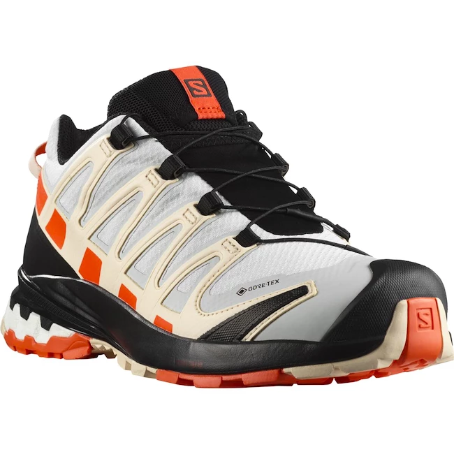 Dámská běžecká obuv Salomon XA Pro 3D XA PRO 3D v8 GTX W Lunar Rock