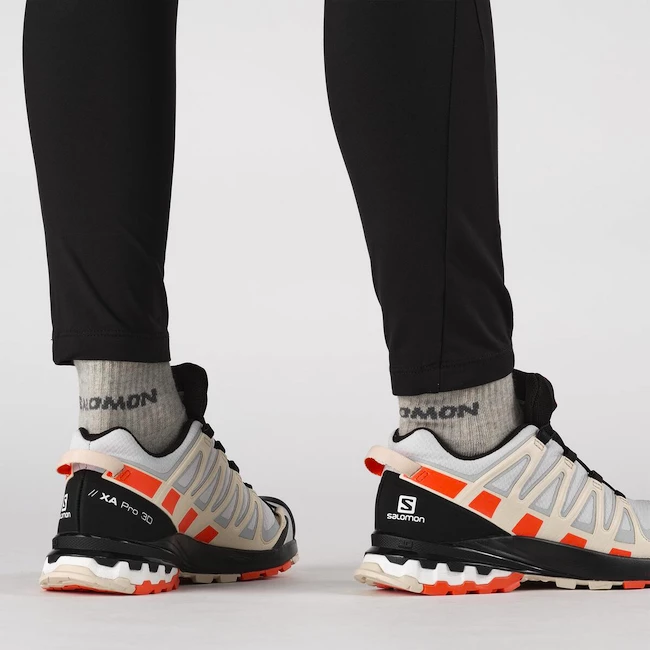 Dámská běžecká obuv Salomon XA Pro 3D XA PRO 3D v8 GTX W Lunar Rock