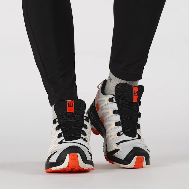 Dámská běžecká obuv Salomon XA Pro 3D XA PRO 3D v8 GTX W Lunar Rock