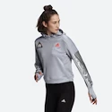 Dámská mikina adidas  Space Hoodie Halo Silver