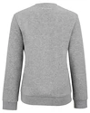 Dámská mikina Tecnifibre  Club Sweater Silver