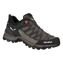 Dámská outdoorová obuv Salewa  WS MTN Trainer Lite GTX Wallnut/Fluo Coral