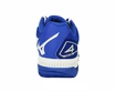 Dámská tenisová obuv Mizuno  Wave Exceed Tour 4 CC White/Blue