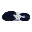 Dámská tenisová obuv Mizuno Wave Exceed Tour 6 CC W BelAirBlue