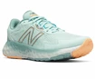 Dámské běžecké boty New Balance Fresh Foam EVOZ v1