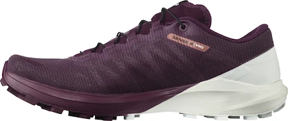 Dámské běžecké boty Salomon Sense 4  PRO W Plum Caspia