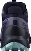 Dámské běžecké boty Salomon Speedcross 5 GTX Nisk