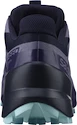 Dámské běžecké boty Salomon Speedcross 5 GTX Nisk