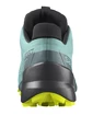 Dámské běžecké boty Salomon Speedcross 5 GTX W Pastel Turquoise