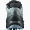 Dámské běžecké boty Salomon  Speedcross 5 W Slate/Trooper