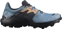 Dámské běžecké boty Salomon  Wildcross 2 GTX Blue Stone