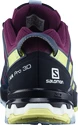 Dámské běžecké boty Salomon XA PRO 3D V8 GTX W Plum Caspia