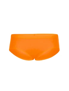 Dámské kalhotky Icebreaker  Siren Hipkini FLASH