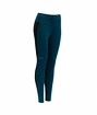 Dámské legíny Devold  Running Tights Flood