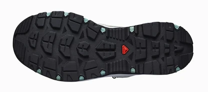 Dámské outdoorové boty Salomon  TECHAMPHIBIAN 5 W