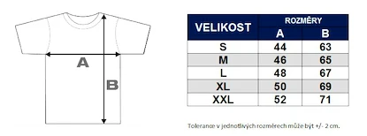 Dámské tričko Český hokej Lev šedé