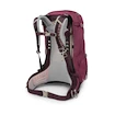 Dámský batoh OSPREY SIRRUS 34 elderberry purple/chiru tan