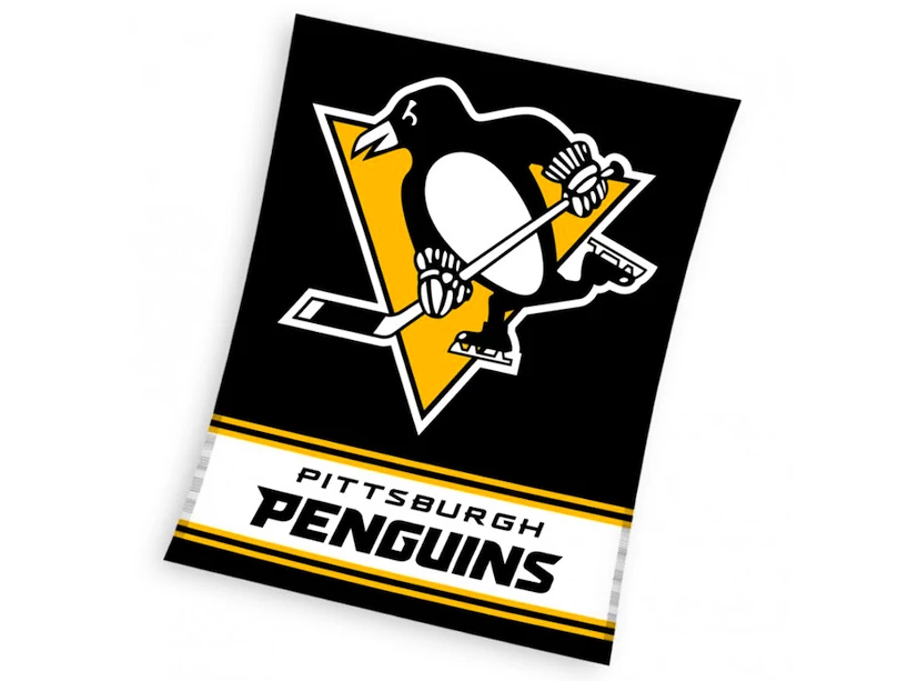 Pittsburgh penguins best sale merchandise