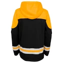 Dětská hokejová mikina s kapucí adidas Asset Pullover Hood NHL Boston Bruins