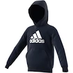 Dětská mikina adidas Logo Hood