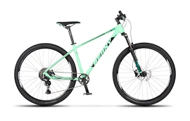 Dětské kolo Beany Blaster 29 Light Green, 19"