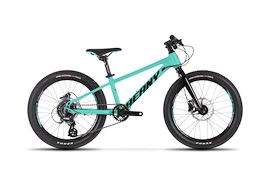 Dětské kolo Beany Blaster XC 20 Mint