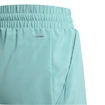 Dětské šortky adidas  Club Tennis 3-Stripes Shorts Kids