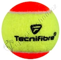 Dětské tenisové míče Tecnifibre Balls Mini Tennis (40 ks)