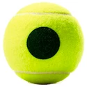 Dětské tenisové míče Wilson Roland Garros Green (4 ks)