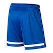 Dětské trenky Nike Dri-FIT II Boy se slipy