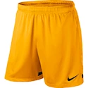 Dětské trenky Nike Dri-FIT II Boy se slipy
