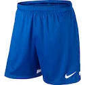Dětské trenky Nike Dri-FIT II Boy se slipy