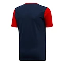 Dětské tričko adidas Graphic Arsenal FC modro-červené