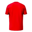 Dětské tričko Head  CLUB ORIGINAL T-Shirt Junior RD
