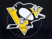 Dětské tričko Levelwear Core Logo NHL Pittsburgh Penguins černé