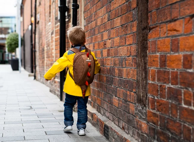 Dětský batoh Little life  Children's Backpack
