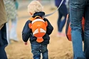 Dětský batoh Little life  Toddler Backpack