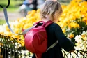 Dětský batoh Little life  Toddler Backpack