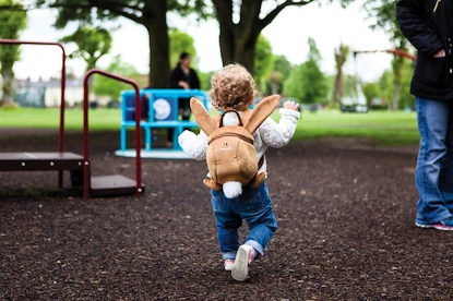Dětský batoh Little life  Toddler Backpack