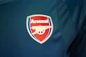 Dětský brankářský dres Puma Arsenal FC domácí 17/18