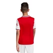 Dětský dres adidas Arsenal FC domácí 19/20