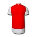 Dětský dres Puma Arsenal FC 74757301