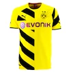 Dětský dres Puma Borussia Dortmund 74589701