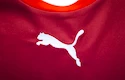 Dětský dres Puma Česká republika domácí replika s originálním podpisem Petra Čecha
