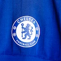Dres adidas Chelsea FC Training Blue