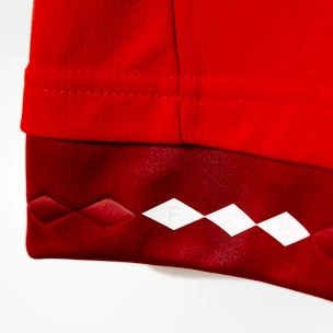 Dres adidas FC Bayern Mnichov domácí 15/16