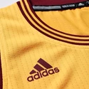 Dres adidas NBA Cleveland Cavaliers LeBron James 23